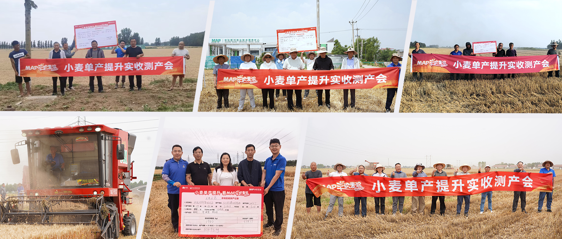 “藏粮于技”的丰收答卷——2026中化农业MAP小麦单产提升行动纪实...