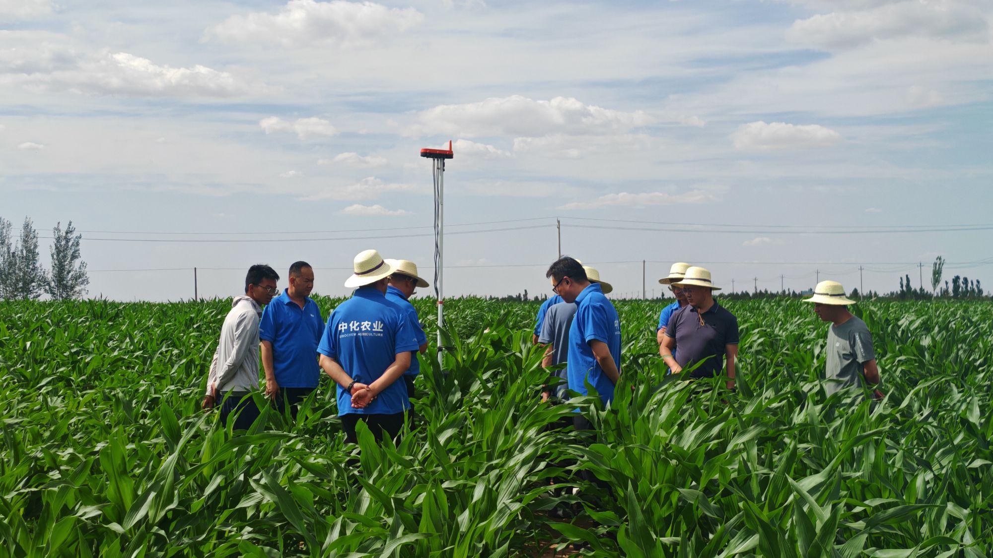科技赋能田畴丰产惠及农户