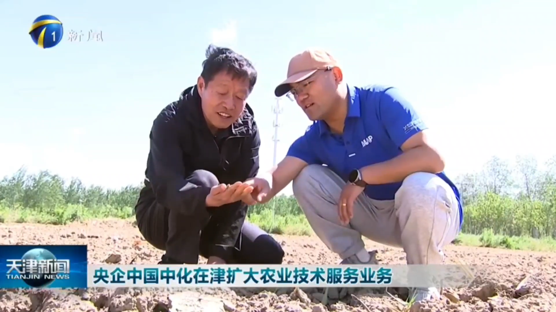 央企中国中化在津扩大农业技术服务业务