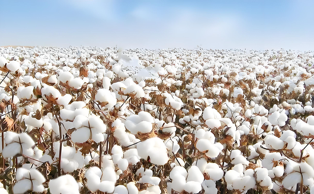 Integrated Cultivation Solution